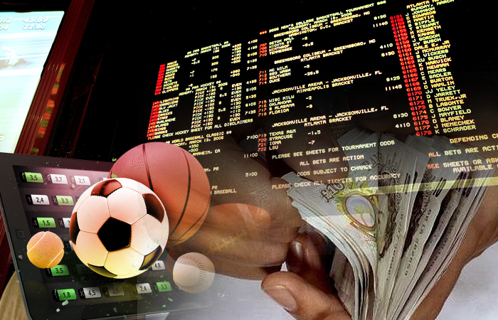 Win More, Play Smarter – The Fun Never Stops Win More, Play Smarter – The Fun Never Stops